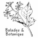 Ballades et Botanique