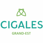 CIGELS Grand Est