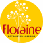 Floraine
